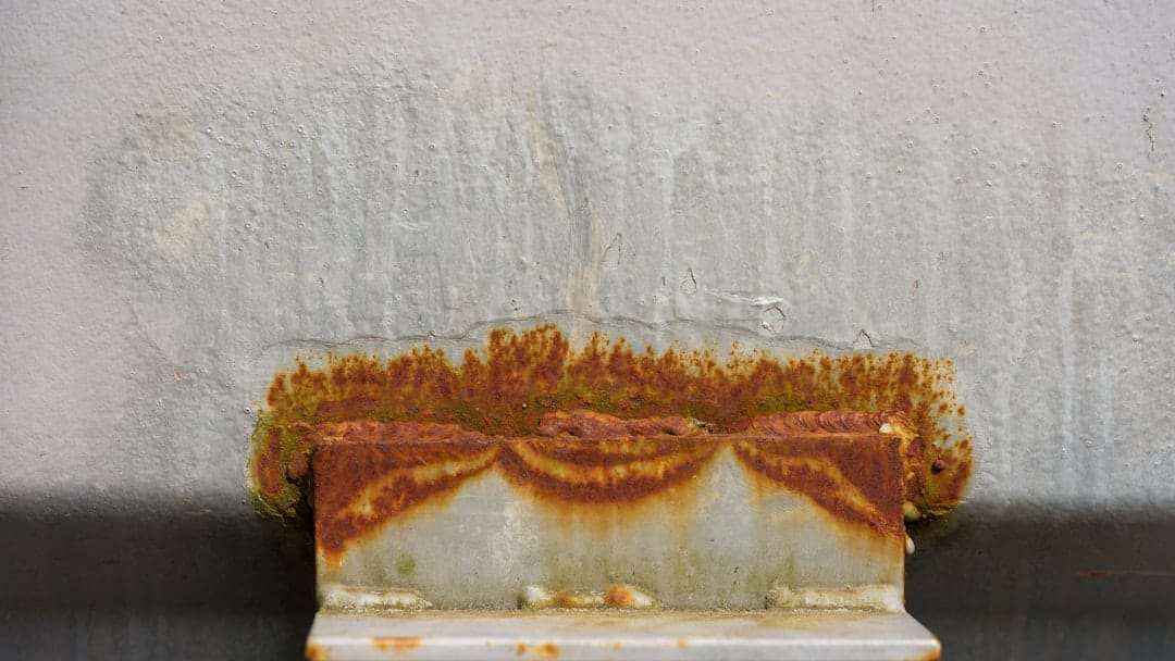 レモンと塩を使った自然派除去方法