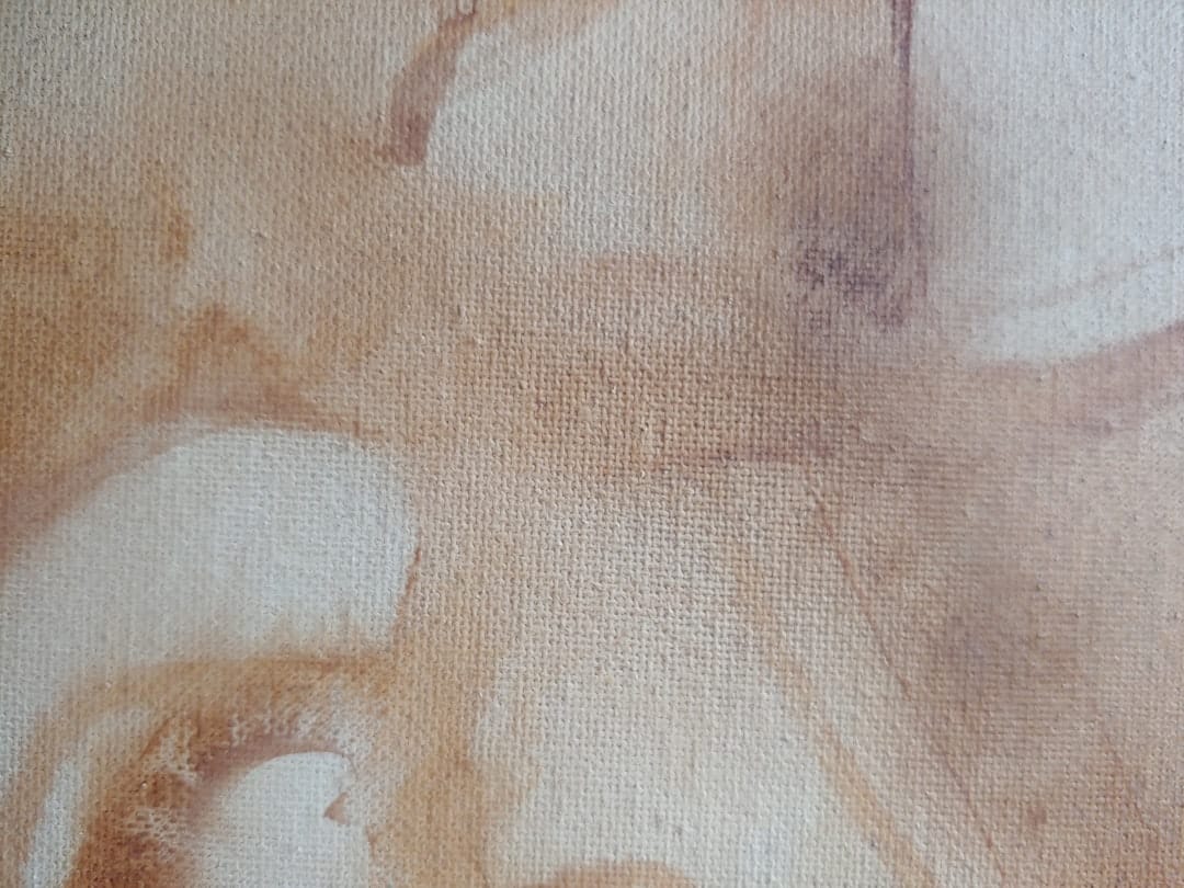 市販の錆び取り剤と漂白剤の使用方法