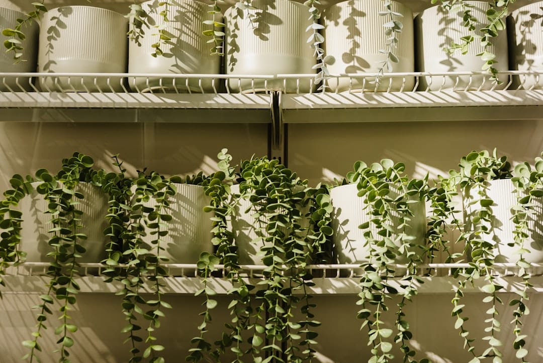 効果的な干し方と配置のテクニック