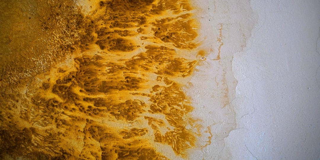 頑固な油汚れもスッキリ！効果的な油染み除去テクニック完全ガイド