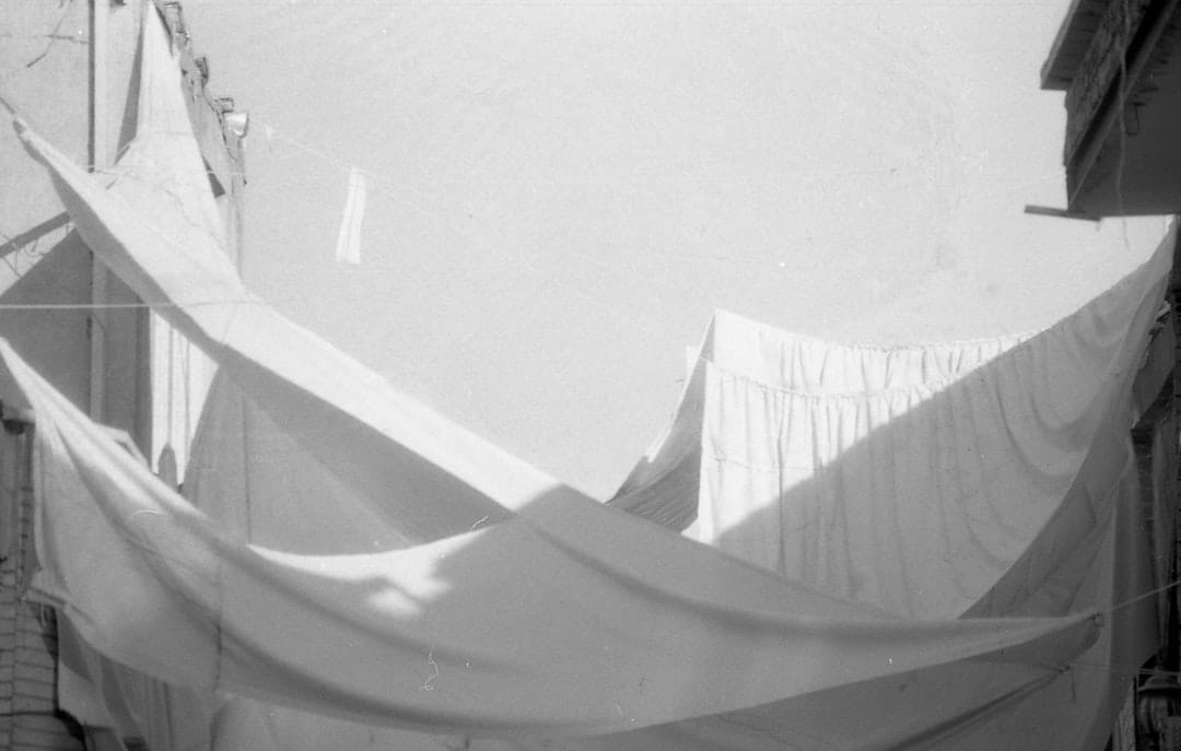 干し方と仕上げのコツ