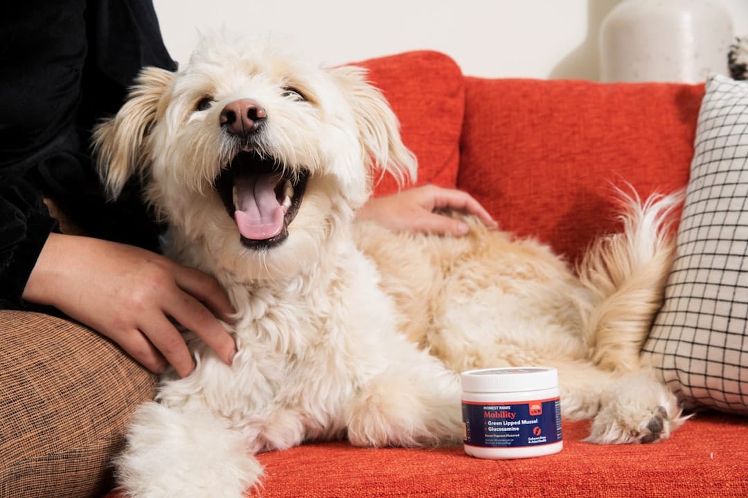 抜け毛が付きにくくなる予防策