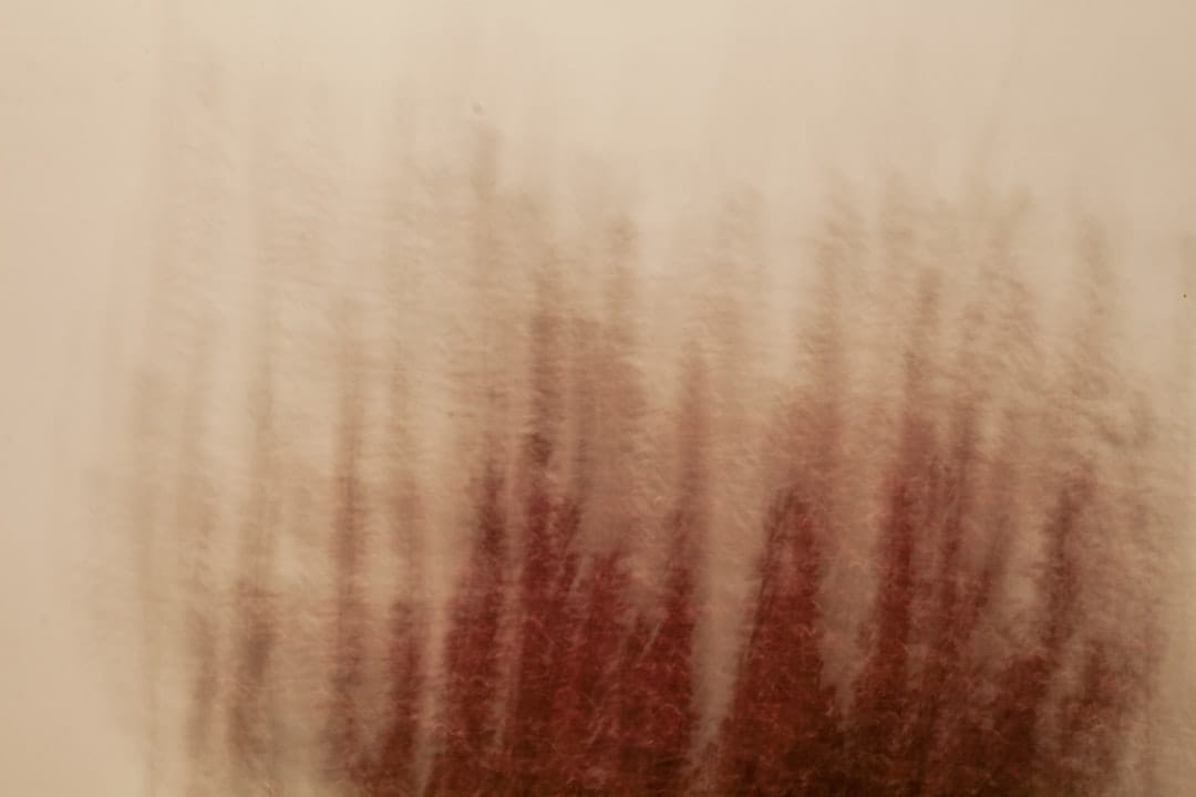 【完全保存版】衣類についたワインのシミを綺麗に落とす方法