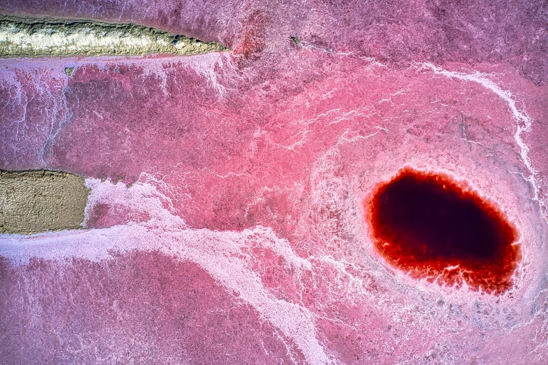 素材別の注意点とクリーニング店の活用