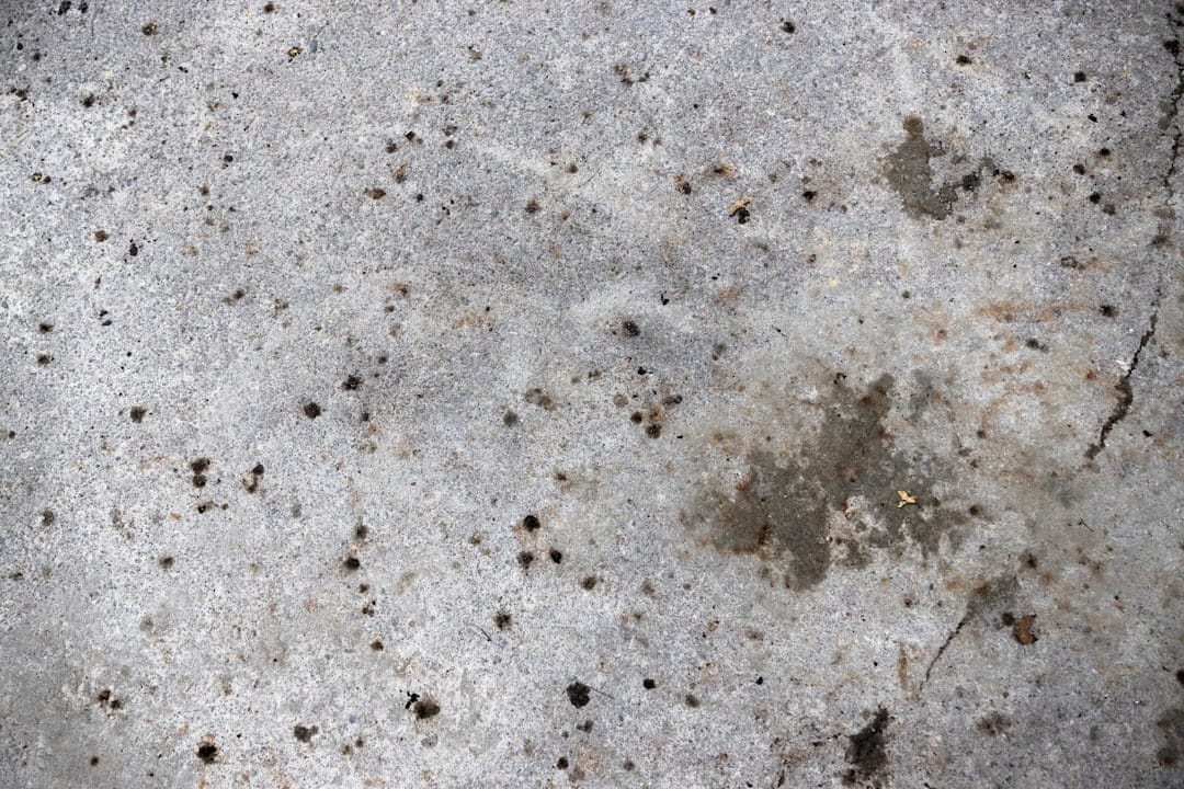 素材別の注意点とお手入れ方法