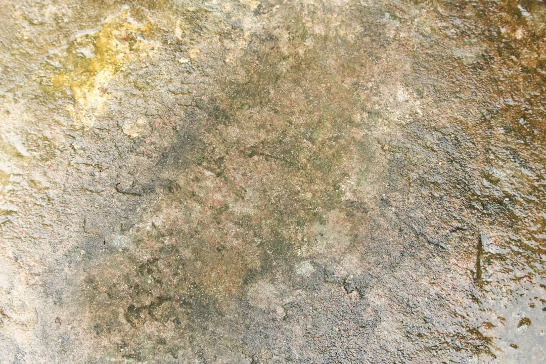 泥汚れを落とす基本ステップ