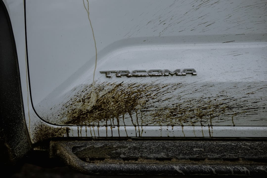 衣類別の泥汚れ対処法と予防策