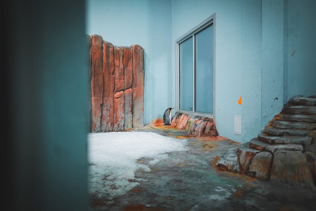 生乾き臭を防ぐための洗濯前後のケア