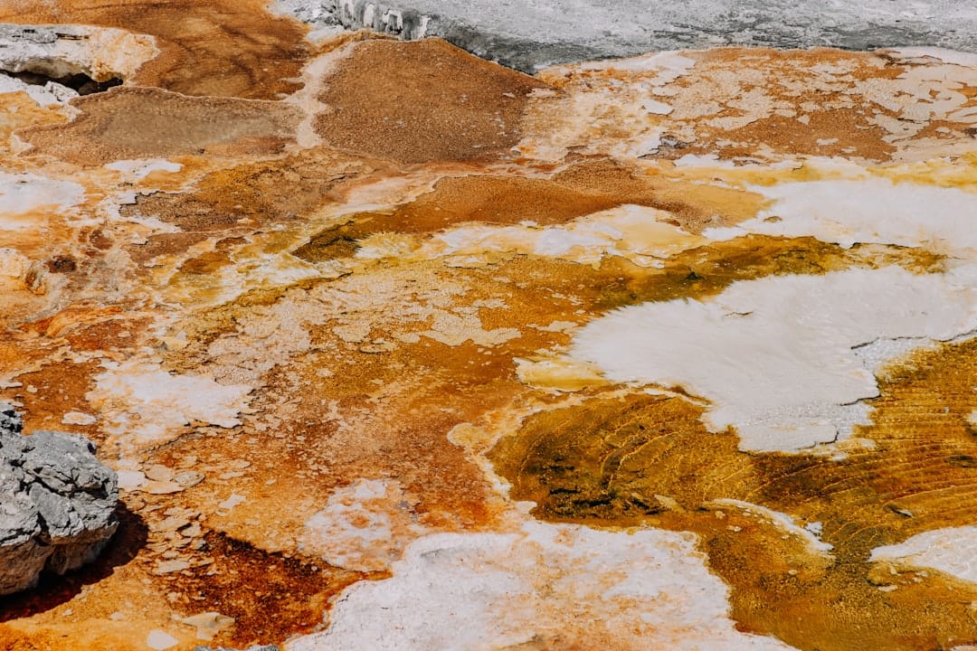 泥汚れを完璧に落とす！衣類の泥染み除去マスターガイド