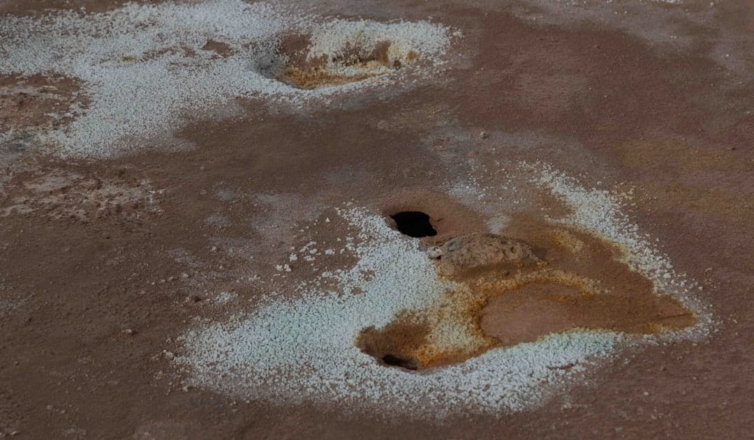 デオドラント剤の黄ばみ・白い汚れを完全除去！洋服のシミ抜き完全ガイド